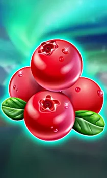 Winterberries